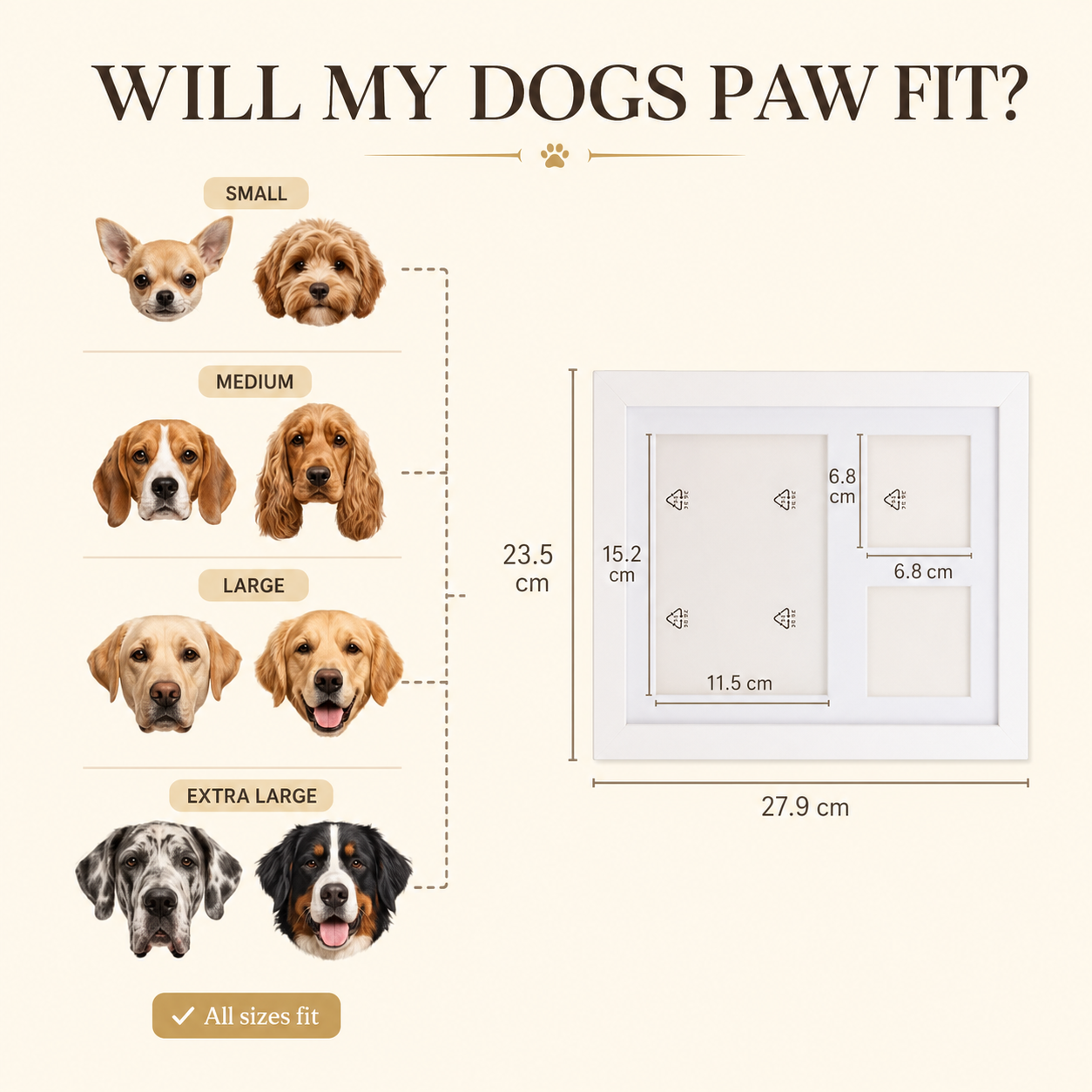The Clay Paw Print Kit